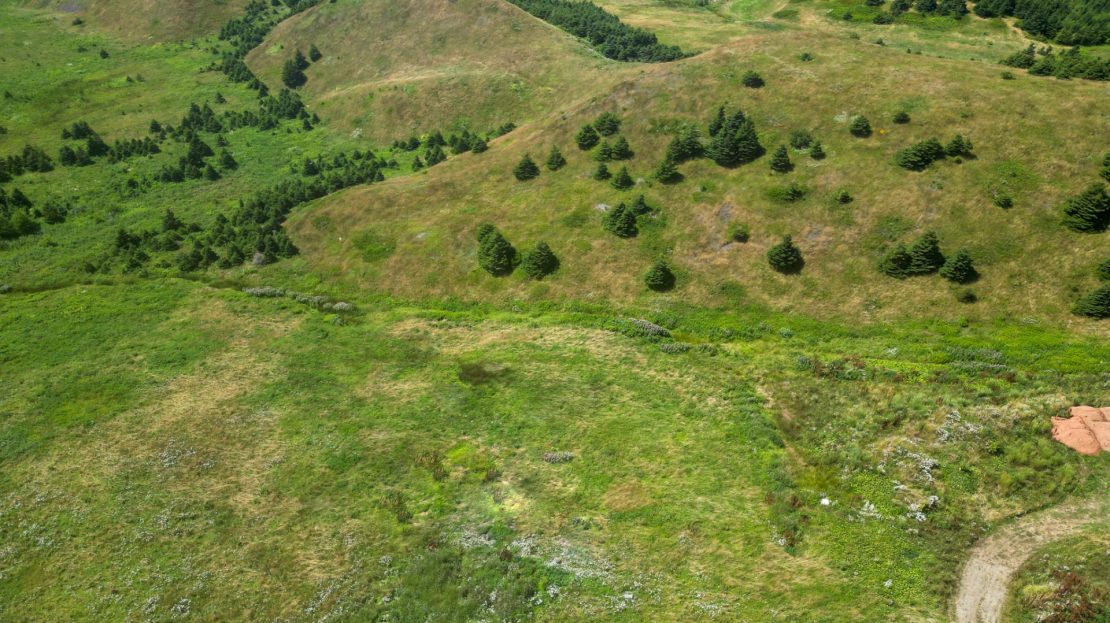 image de la Vidéo